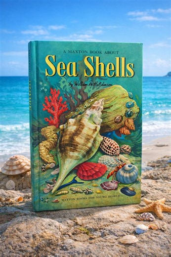 Vintage 1954 Sea Shells Book – Maxton Illustrated Nature Science - Etsy Canada