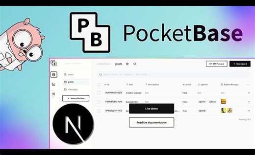 如何使用 Nextjs 和 Pocketbase 创建网络应用程序 | 中西字幕