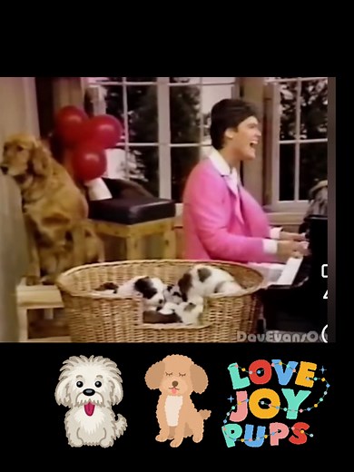 Donny Osmond: Puppy Love Performance with Real Pups