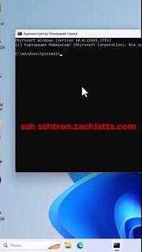 Игра в командной строке SSHTron