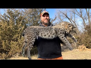 Trapping flairs abandoned ranch ep8