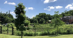 Covington plan for keeping raw sewage, flooding out of basements doesn't give much hope to residents