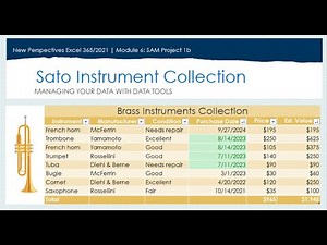Excel Project 6b Tutorial
