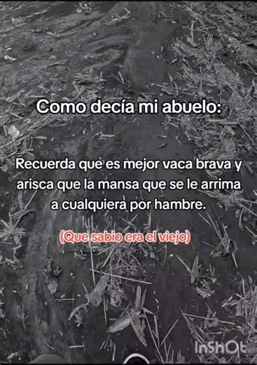 Videos de mafer (@mafermafer_15) con “sonido original - mafer”