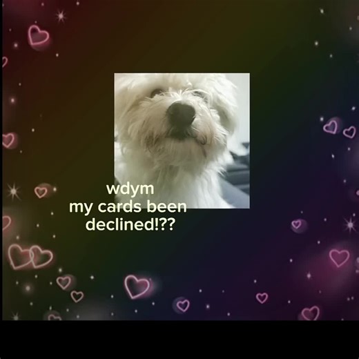 What do you mean..#hapinnes #adorablebaby #dogslife #love #maltese