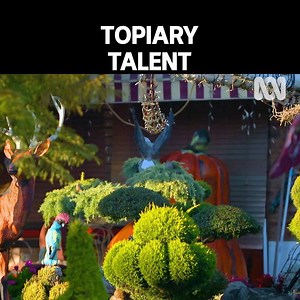A talent for topiary that’s turned into a tourist hot spot🌳 | Gardening Australia