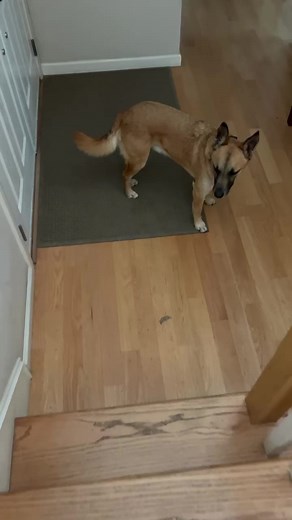 Having a morning routine is incredibly important to me. It sets me up to make the most of day. Having the right mindset doesn’t just happen, it’s like everything else, I have to work at staying motivated and inspired. I would love to say that I was just born this way, but the truth is, life happens and sometimes I wake up wanting to pull the blankets over my head. Thankfully for the morning routine and the discipline of doing the daily work, gets me out of bed. @tonyrobbins teaches that to chang