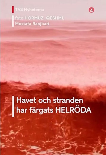 Miljontals färgburkar spillda i havet i Nya Zeeland