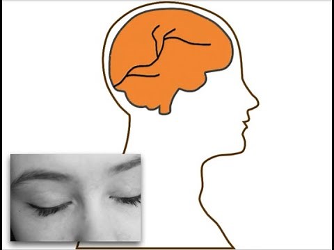 Retrieval Practice for Students