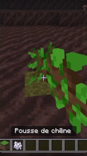 Growing a tree in the Nether??? #foryou #minecraft #isigas2 #tree #nether