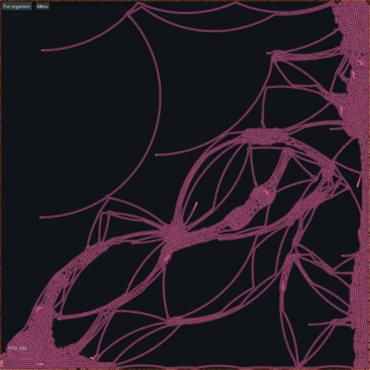 Growing some primitive mycelium in my computer terrarium