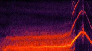 40K views · 227 reactions | Dolphin moms use “baby talk” with their calves. Research from 2023 discovers striking similarities between human and dolphin “motherese.” Learn more: https://scim.ag/45TFzvv #ScienceMagArchives | News from Science | Facebook