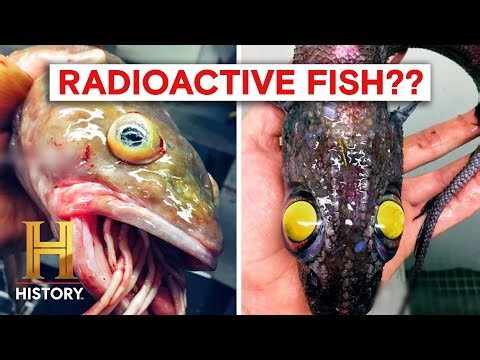 Creepy Humanoid Fish Found in the Deep Sea (Season 1) | The Proof Is Out There | History