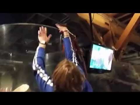 Giant Octopus Tries to Climb Out of Tank at Seattle Aquarium