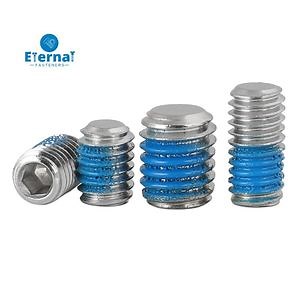 [Hot Item] SS304 Nylon Thread Locking Headless Head Cup Point Hex Socket Grub Set Screw