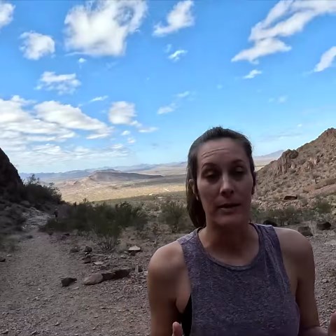 Join us as we explore the stunning Palm Canyon in Arizona through an exhilarating hiking experience. Follow along as we traverse through rugged terrain, marvel at towering palm trees, and soak in the breathtaking beauty of the desert landscape. #fypシ #fyp #fypage #travel #hikingadventures | Cody & Kellie