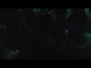 Ellen Allien @ Time Warp Italy 2011