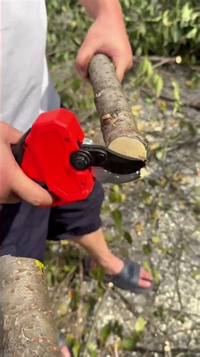 Efficient Tree Branch Pruning with Electric Pruning Shears