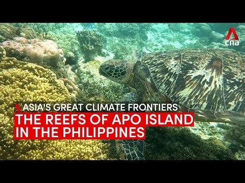 Coral Triangle communities find solutions as underwater world faces deep climate challenges