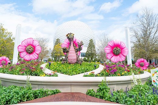 Full ~Frogtastic~ Schedule of Disney World Events in 2026 and Beyond