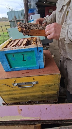 Union Apicole Haute-Saônoise on Reels