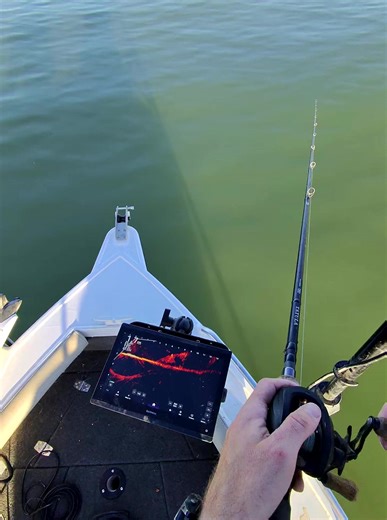 Live Scope Fishing Techniques for Murray Cod
