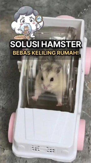 Must-Have Hamster Toy: Anti-Lost Hamster Ball ✨
