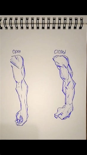 How to Draw Arm Anatomy Open vs Closed Hand #shorts#tutorial