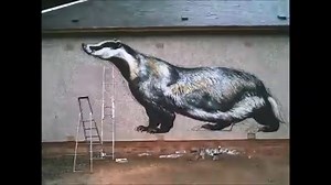 1.4K views · 123 reactions | Watch the latest addition to Falls of Clyde Wildlife Reserve take shape. This fantastic mural of Clyde the Badger has been created by street artist ATM to draw attention to the beauty and significance of these special creatures. | Scottish Wildlife Trust | Facebook
