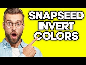 How To Invert Colors in Snapseed (2023)