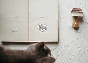 Moth Library Stamp, Book Lover Gift for Her, Goth Witchy Ex Libris Rubber Stamp, Personalized Stamp, Custom Christmas Gift - Etsy