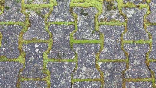 The £1.94 'magic' hack that removes patio moss & black spots in just 10 minutes