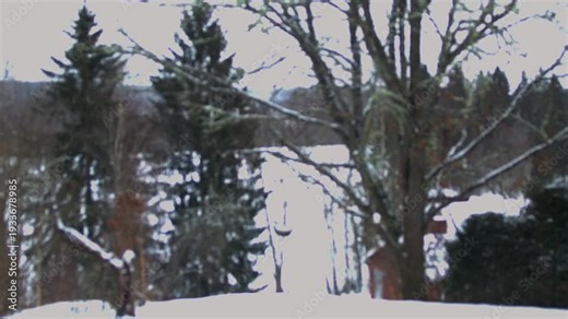 Snow flakes falling in the winter landscape.