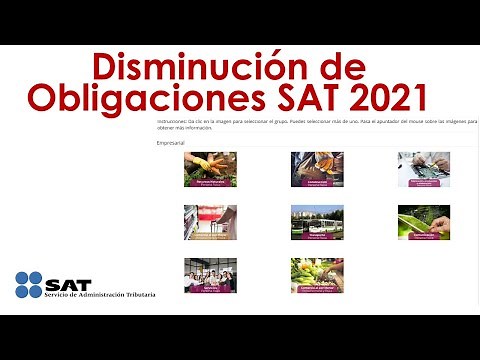 Disminución o Baja de Obligaciones Plataformas digitales SAT 2024