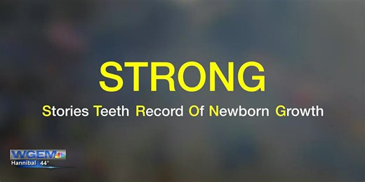 The science tooth fairy: clues to early childhood mental health