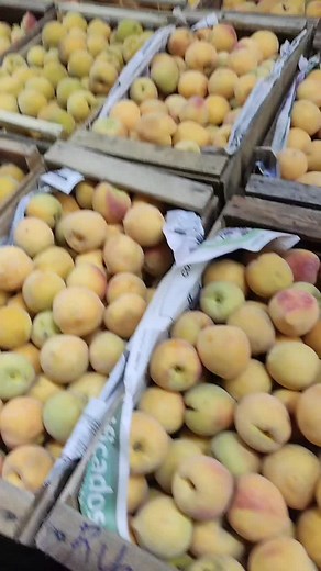 Cuentas recomendadas