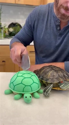 Funny prank with Turtle 🤣🤣🤣 #funny #prank #turtle