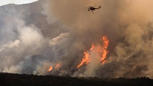 UC Davis Scientists Study the Impact of Wildfires in California