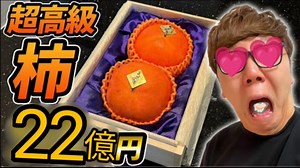 【超高級】22億円の柿購入！食べたら厶ラ厶ラが止まらない味でした…【カキキンTV】
