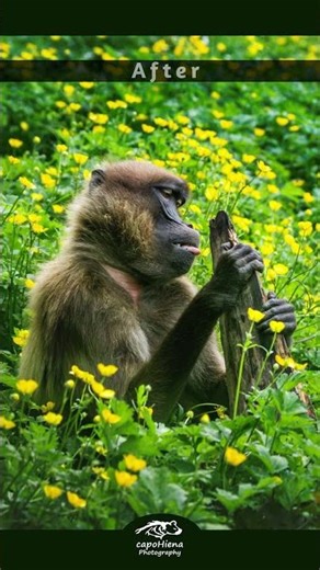 Before and After - photo editing. Banoon