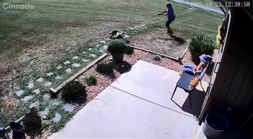 1M views · 11K reactions | When the misso has everything under control 力 | WA Feral Animal Service | Facebook