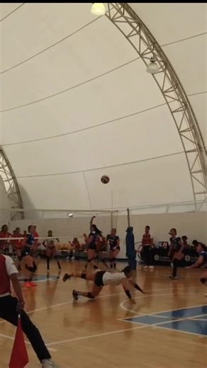 Cuentas recomendadas