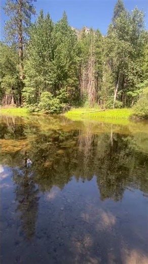 Yosemite #hiking #live #viral
