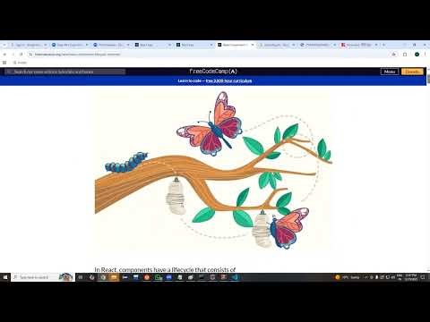 REACT Lecture- 38.1 REACT PHASES