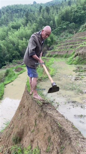 Revolutionizing Agriculture: How Older Farmers Shaped Intensive Farming