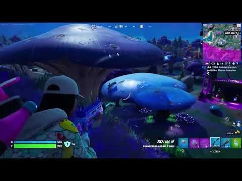 Ruby rules the land | Fortnite Zero Build Solo | #flashbackfriday