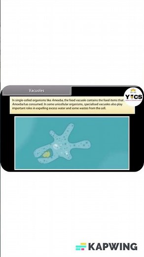 Understanding Vacuoles: Their Structure and Function in Cells.