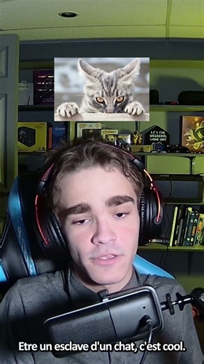 Top 5 des Jeux Nintendo DS ! #tierlist #gaming #twitch #français