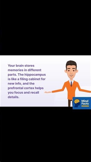 Boost Your Memory Like a Muscle 🧠 | Brain Hacks & Science Facts | Shorts