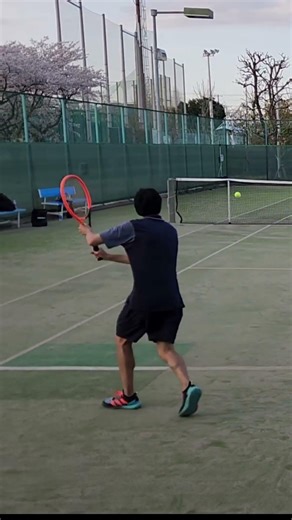 Backhand Slow Motion #tennis
